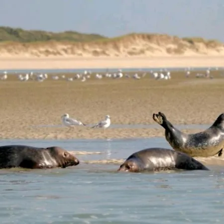 Sea-you Etaples-le Touquet *